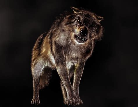 Big Bad Wolf Digital Art By Daniel Eskridge Fine Art America