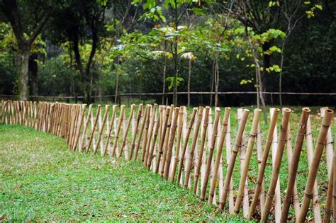 Mr Diy Bamboo Fence Diy Bamboo Design Ideas Bamboo Design Zen