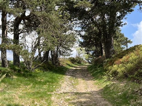 Le Parc Naturel Régional Du Pilat Promenades Et Randonnées