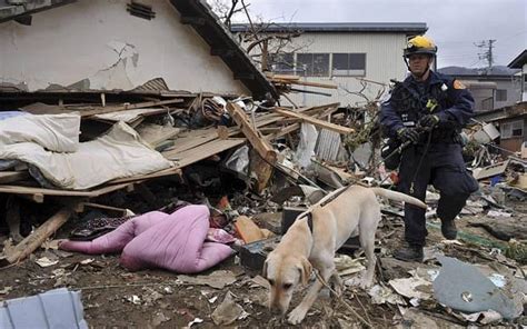 The Latest Photographs From Tsunami And Earthquake Hit Japan
