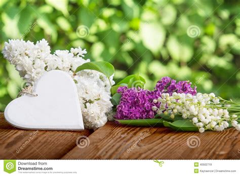 Chaque brin de muguet (ou hampe) est entouré de deux feuilles. Coeur Contre Le Muguet Et Le Lilas Image stock - Image du ...