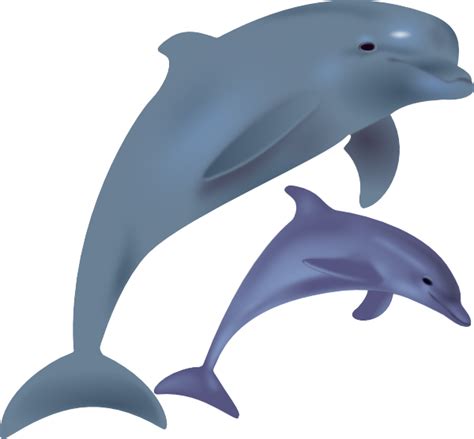 Dolphin Clip Art Clipart Best
