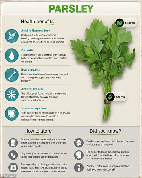 The Surprising Health Benefits Of Herbs From Calcium To Antioxidants