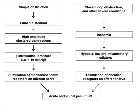 Nociceptive Mechanisms Involved In Acute Abdominal Pain In Bowel
