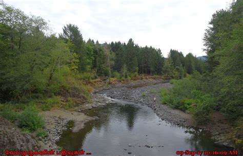 Wilson River Tillamook Exploring My Life