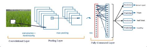 We did not find results for: A Standard CNN Model for Paddy Leaves Classification ...