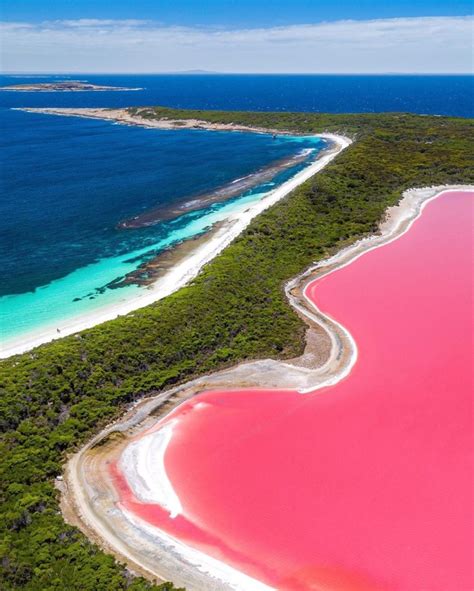 Pink Lakes Of Wa Everything You Need To Know So Perth