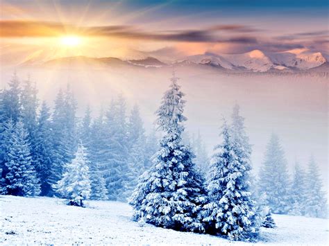 Winter Hd Wallpaper Background Image 2560x1920