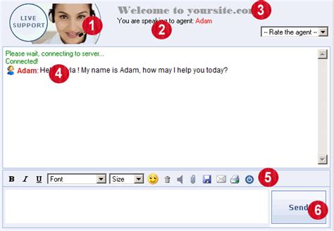 Customizing Chat Window No1 Asp Live Support