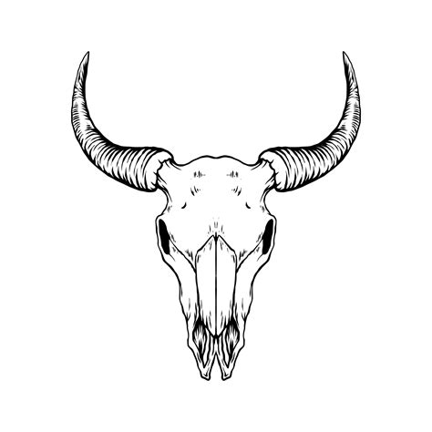 Bull Skull Vector Art Icons And Graphics For Free Download