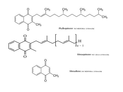 Vitamin k chemical structures food sources vitamin k in the body stability. Vitamin K