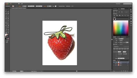 Drawing In Illustrator For Beginners