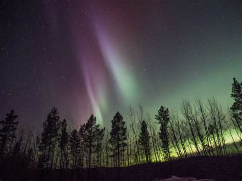 Whitehorse Nighttime Northern Lights Viewing Getyourguide