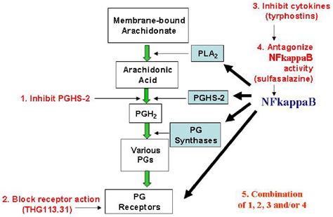 Figure From Role Of The Prostaglandins In Labour And Prostaglandin Receptor Inhibitors In The