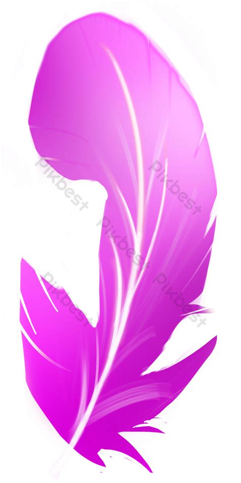 Gradient Pink Feathers Png Images Psd Free Download Pikbest