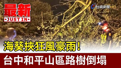 海葵挾狂風豪雨！ 台中和平山區路樹倒塌【最新快訊】 Youtube