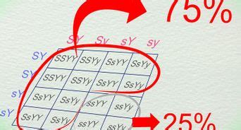Nov 25, 2007 · the basics of a punnett square involves using uppercase letters to represent dominant traits and lowercase letters to represent recessive traits. How to Make a Punnett Square: 13 Steps (with Pictures ...
