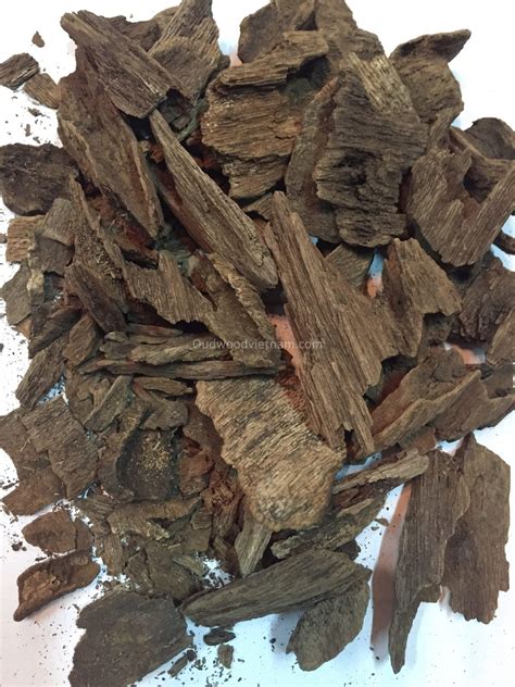 Vietnam Best Oud Wood Chips Wild Agarwood Oud Wood Agarwood Kinam