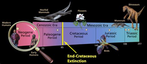 End Cretaceous Extinction Sam Noble Museum