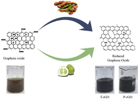 Schematic Illustration Of The Preparation Of Reduced Graphene Oxide
