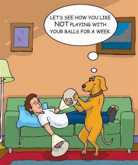 Pin By Linda Harbaugh On Funny Pics And Quotes Cartoon Jokes Funny