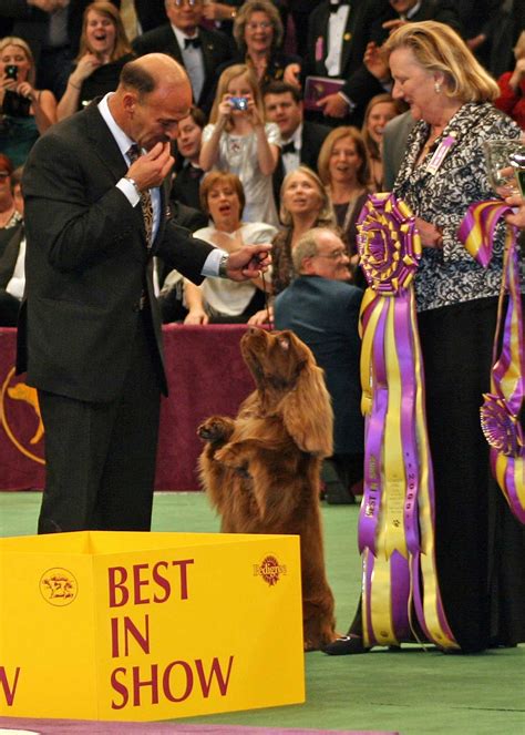Westminster Dog Show Winners List