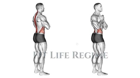 standing oblique twist benefits and variations