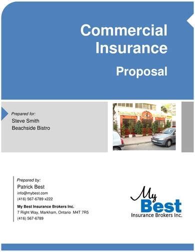 Free 9 Insurance Proposal Samples In Pdf Ms Word