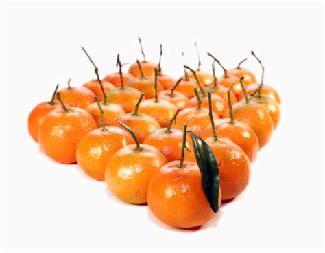 Fruit Mandarin Stock Image Image Of Mandarin Diet Green 7373345