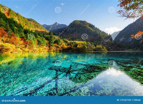 Amazing Colorful Autumn Forest Reflected In The Five Flower Lake Stock