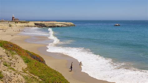 Visite Santa Cruz O Melhor De Santa Cruz Califórnia Viagens 2022
