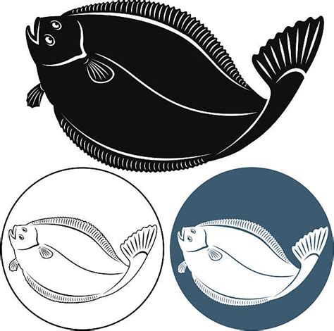 Flounder Clip Art Vector Images And Illustrations Istock