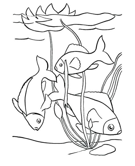 Coloring pages are no longer just for children. Adult Swim Coloring Pages at GetColorings.com | Free ...