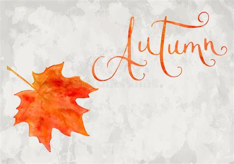 Watercolor Maple Leaf And Autumn Word Stock Vector Illustration Of