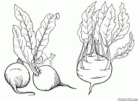 Verduras de maria jose reina fernandez, que 11819 personas siguen en pinterest. Dibujo para colorear - Verduras