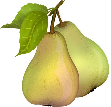 Pear Fruit With Leaf Png Transparent Background Free Download 38692
