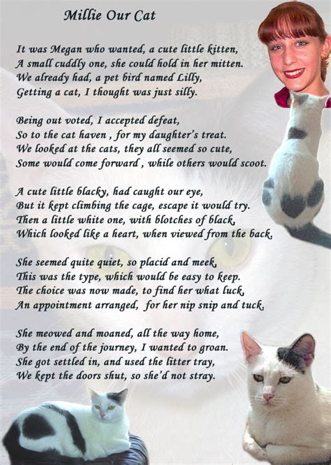 35 New Cat Poems For Kids Poems Ideas