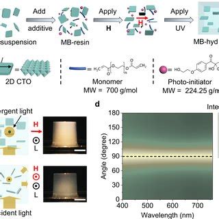 Fabrication Of Magneto Birefringence Hydrogel MB Hydrogel A