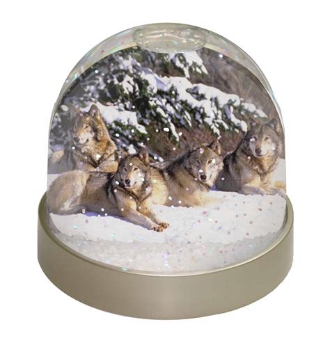 Wolves In Snow Photo Snow Globe Waterball Stocking Filler T Aw 8gl