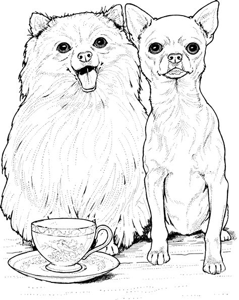 Dog Breed Coloring Pages