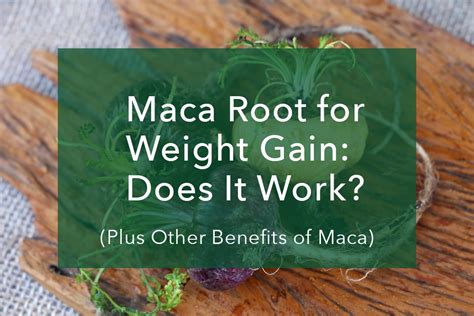 Maca Root For Weight Gain Does It Work Dakota Dietitians