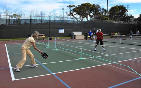 Were you able to find a badminton court? Pickleball Paddles Near Me New Pickleball Courts Win ...