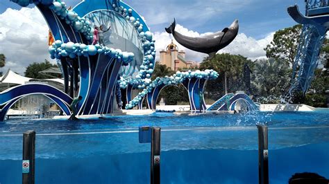 Florida Seaworld Orlando Blue Horizons Show ~ Well Worn Suitcase