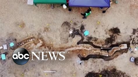 Drone Footage Reveals Sea Dragon Fossil Found In Uk Just News And Views