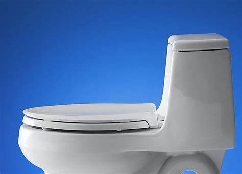 Toilet Seats Special Surfaces Care And Clean Kohler Singapore