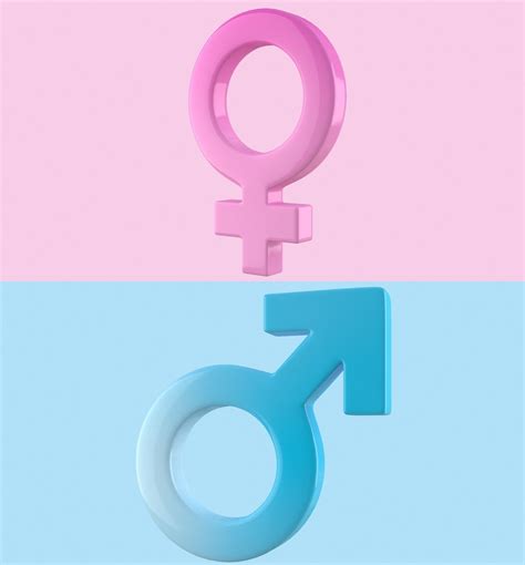 gender symbols set 3d model cgtrader