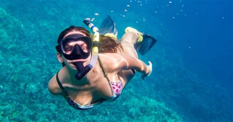 How Does A Snorkel Work Dive Into The Mechanics Of Snorkeling Swimpoolhub