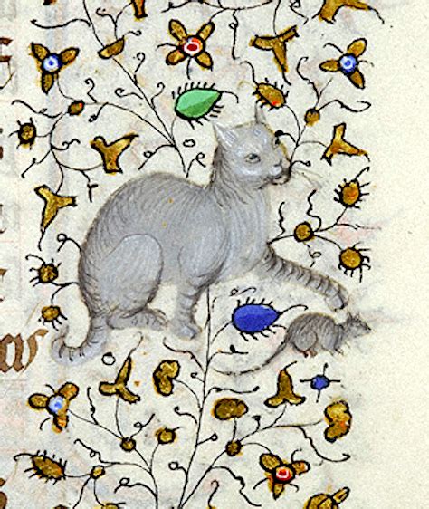 Cat Chasing Mouse Morganlibrary Ms M 1004 15th C Medievalcats