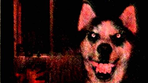 Smile Dog Creepy Pasta Joe Winko Youtube