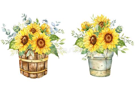 Watercolor Sunflowers Bouquet Hand Painted Sunflower Bouquets With